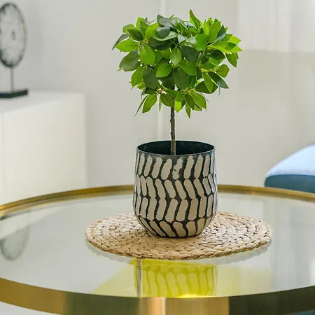 Sunset - Playa Americas Апартаменты *